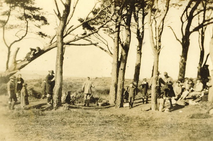 Scouts grouped in pine trees