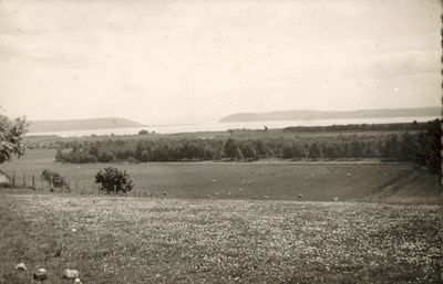 Highland View ~ Dornoch Firth ?