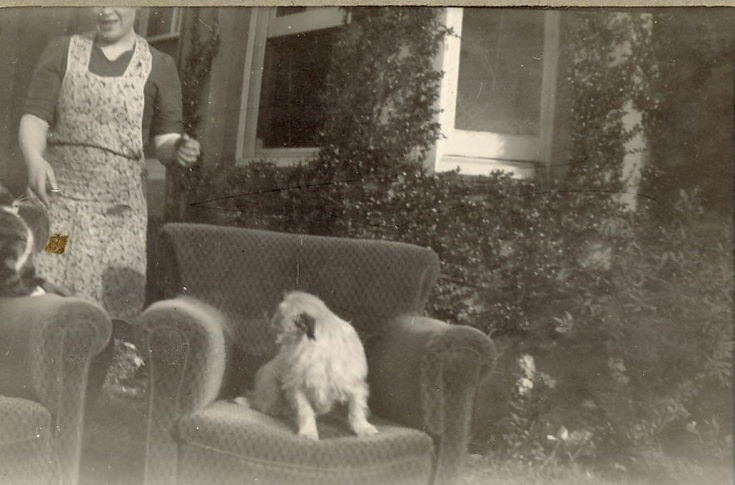 Unidentified Woman, in an apron, with a dog and cat sitting on two armchairs