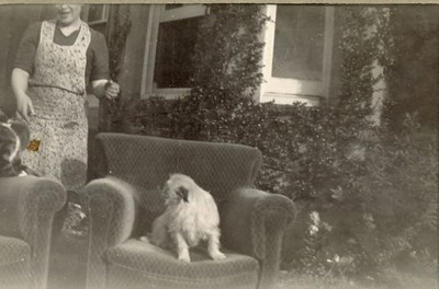 Unidentified Woman, in an apron, with a dog and cat sitting on two armchairs