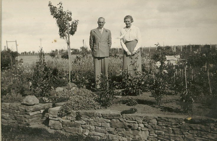 Couple standing in a Rose Garden