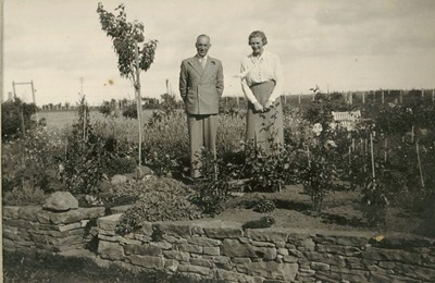 Couple standing in a Rose Garden