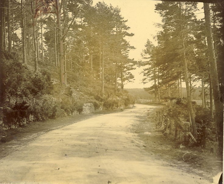 Road from Bonar Bridge approaching Spinningdale