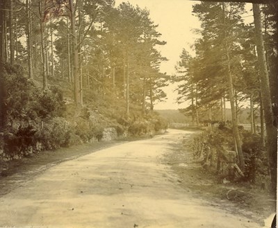 Road from Bonar Bridge approaching Spinningdale