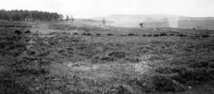 Moorland - possibly on Skibo Estate