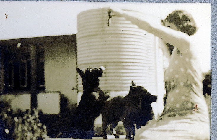 Ruby Hardie, with two dogs and a cat ~ Natal, South Africa