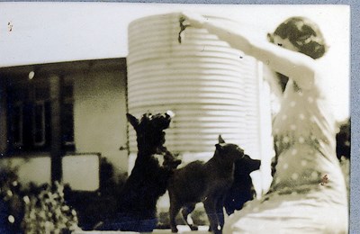Ruby Hardie, with two dogs and a cat ~ Natal, South Africa
