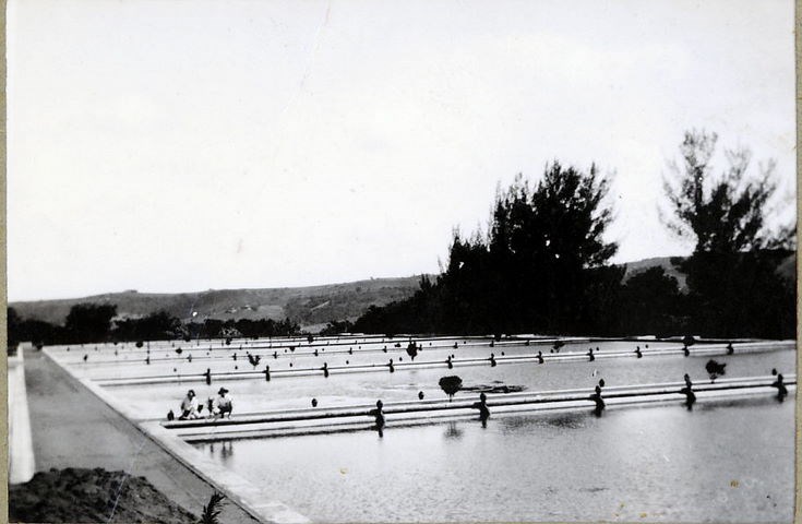 Waterworks, with two people and dogs