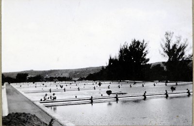 Waterworks, with two people and dogs