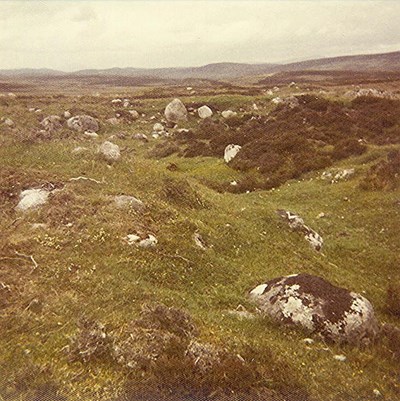 Iron Age Homestead ~ Drumergid