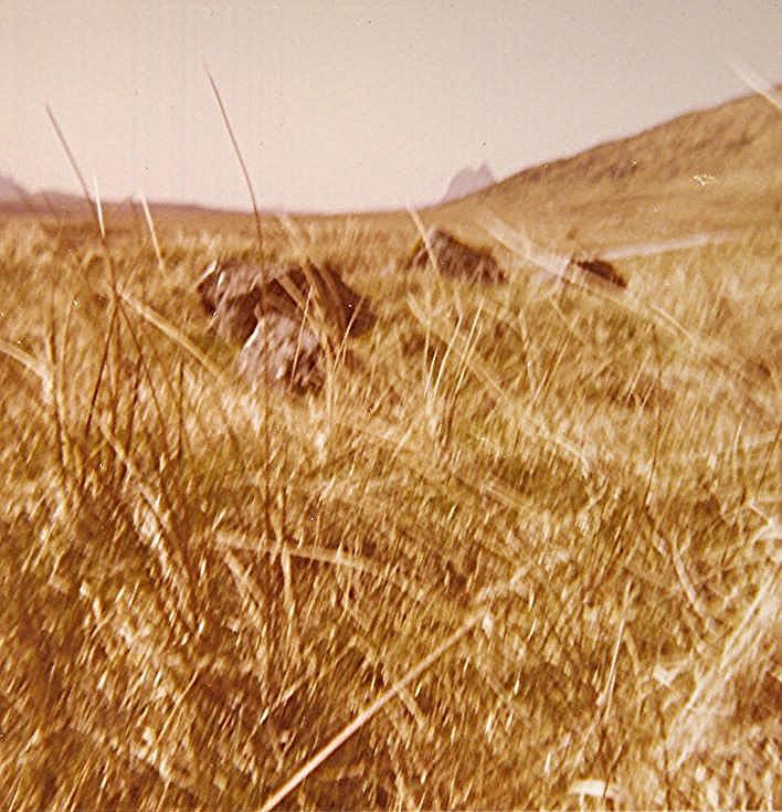 Chambered Cairn at Ledbeg, near Elphin