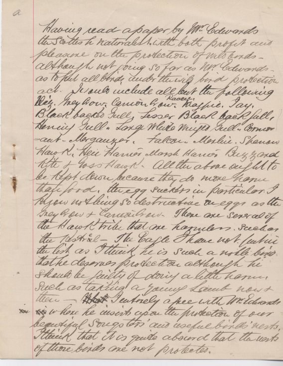 Notes on wild birds 1881