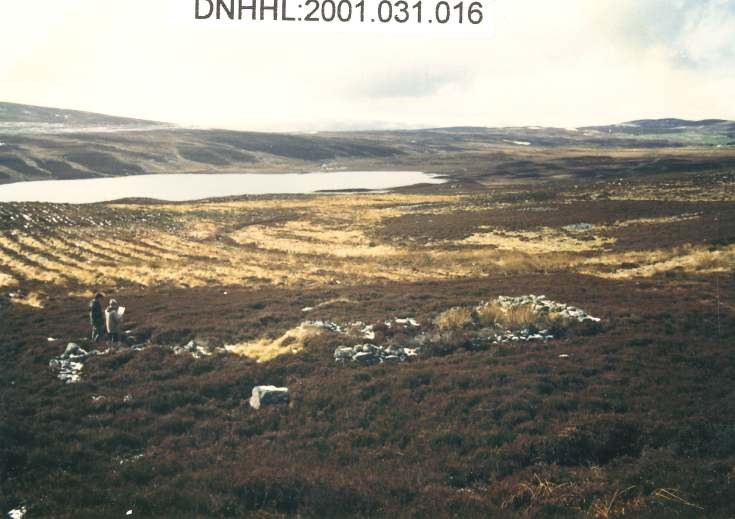 Leathad a' Chuailein south-east house