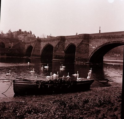 Chester old bridge, with swans and boat