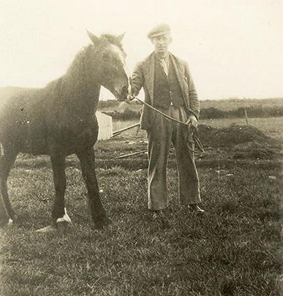 Man with horse in a croft field