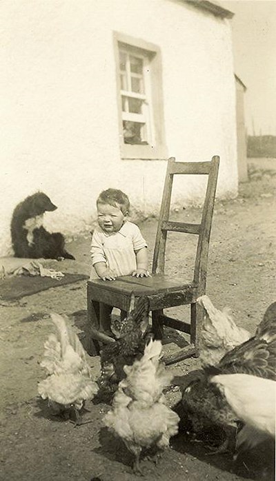 Infant holding onto a chair with chickens and a dog