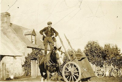 Man standing on the back of a large horse