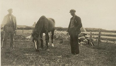Two men with a grazing horse