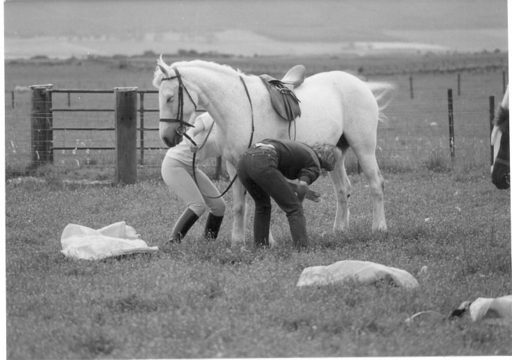 Dornoch Festival Week ~ Gymkhana