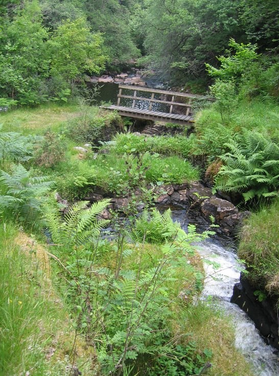 Torbol Salmon Ladder 2009 bridge at start of ladder