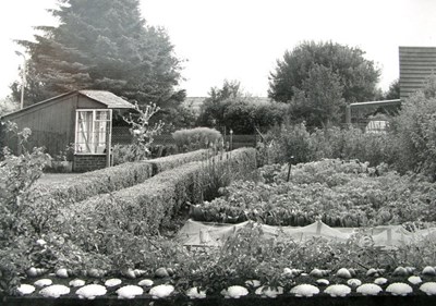 A productive garden in Littletown