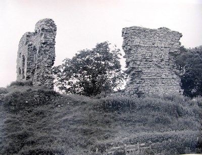 Skelbo Castle