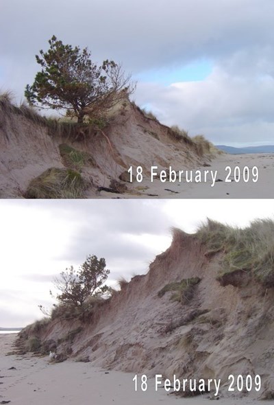 Dornoch links dune erosion 18 Feb 2009
