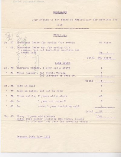 Copy return to Board of Agriculture 1918