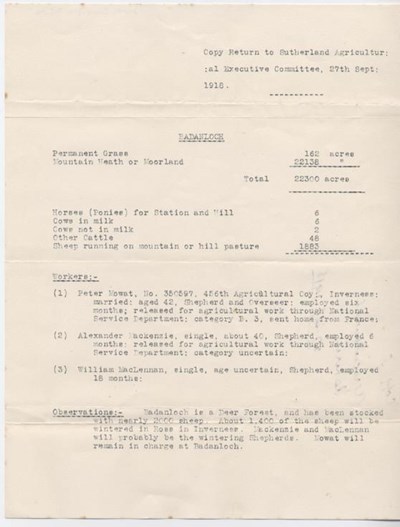 Copy return to Sutherland Agriculural Executive Committee 1918