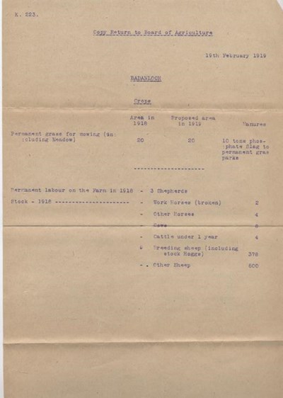 Copy return to Board of Agriculture 1919