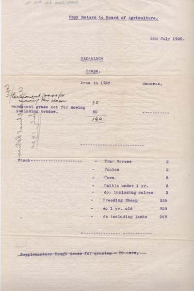 Copy return to Board of Agriculture ~ July 5th 1920