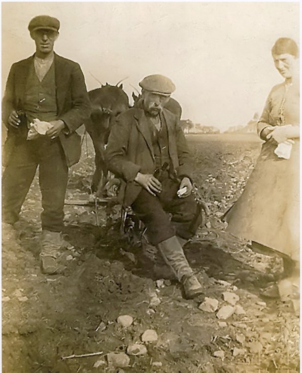 Group at Embo Mains Farm c 1930s pic