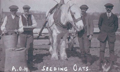 Farm workers seeding oats