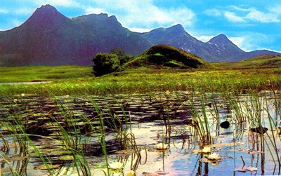 Colour postcard of Ben Loyal